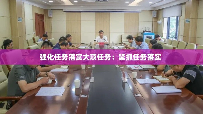 强化任务落实大项任务：紧抓任务落实 