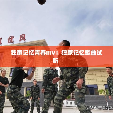 独家记忆青春mv：独家记忆歌曲试听 