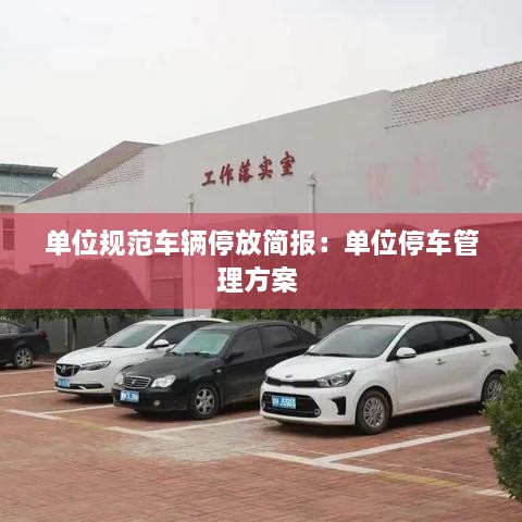 单位规范车辆停放简报：单位停车管理方案 