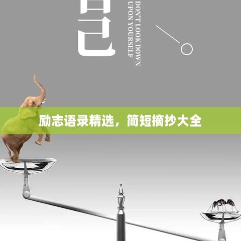 zhongxingenggeng 第2页