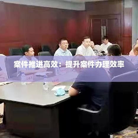 案件推进高效：提升案件办理效率 