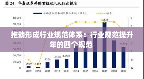 推动形成行业规范体系：行业规范提升年的四个规范 