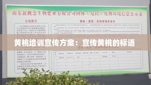 黄桃培训宣传方案：宣传黄桃的标语 