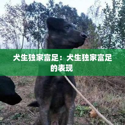 犬生独家富足：犬生独家富足的表现 