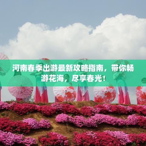 河南春季出游最新攻略指南，带你畅游花海，尽享春光！