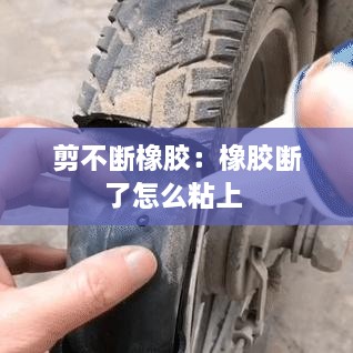 剪不断橡胶：橡胶断了怎么粘上 