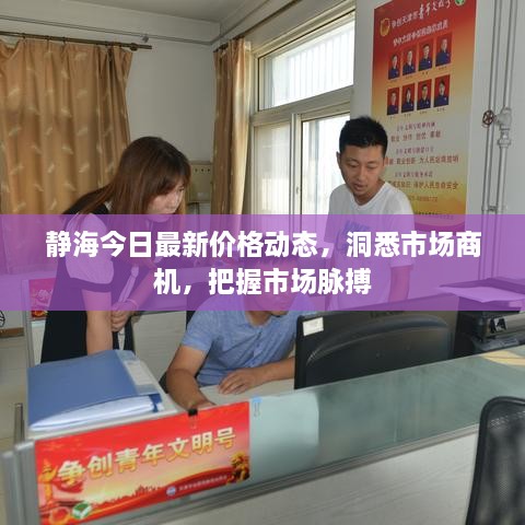 静海今日最新价格动态，洞悉市场商机，把握市场脉搏