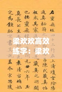 梁欢欢高效练字：梁欢 写真 