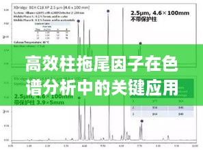 高效柱拖尾因子在色谱分析中的关键应用