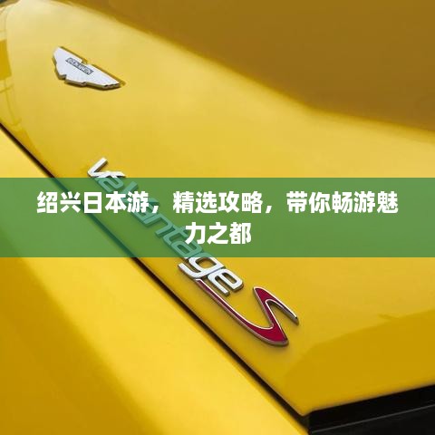 绍兴日本游，精选攻略，带你畅游魅力之都