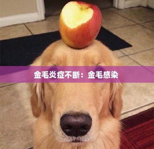 斗志昂扬 第2页