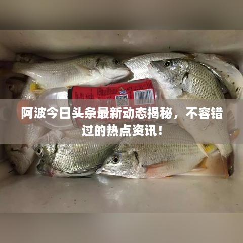 阿波今日头条最新动态揭秘，不容错过的热点资讯！