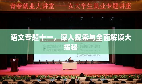 语文专题十一，深入探索与全面解读大揭秘