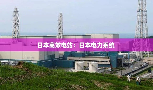 日本高效电站：日本电力系统 