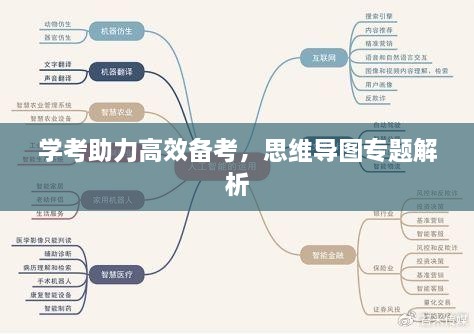 学考助力高效备考，思维导图专题解析