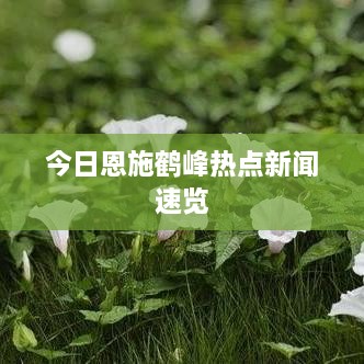 今日恩施鹤峰热点新闻速览