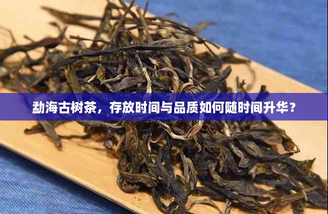 勐海古树茶，存放时间与品质如何随时间升华？