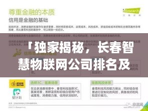 「独家揭秘，长春智慧物联网公司排名及行业深度洞察」
