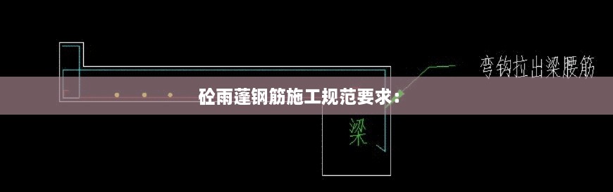 砼雨蓬钢筋施工规范要求： 