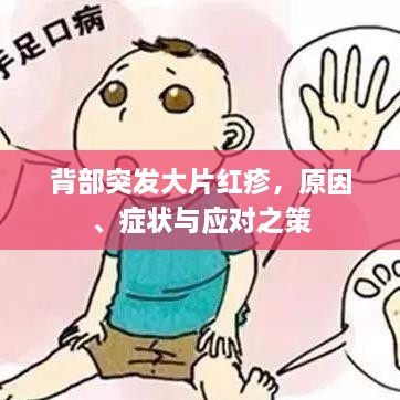 背部突发大片红疹，原因、症状与应对之策