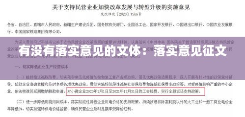 有没有落实意见的文体：落实意见征文 