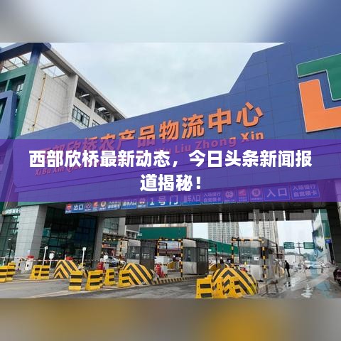 西部欣桥最新动态，今日头条新闻报道揭秘！
