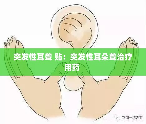 兽聚鸟散 第2页