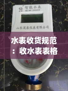 水表收货规范：收水表表格 