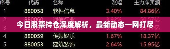 今日股票持仓深度解析，最新动态一网打尽