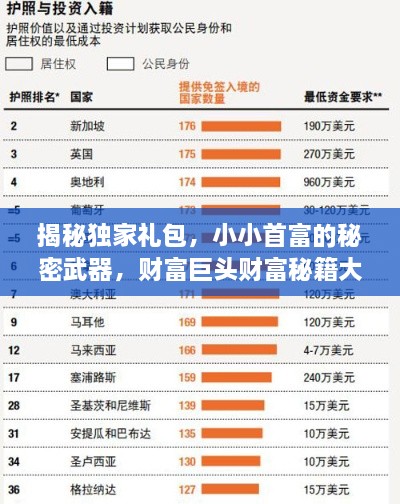 揭秘独家礼包，小小首富的秘密武器，财富巨头财富秘籍大放送！