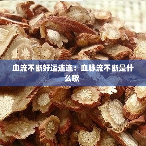 血流不断好运连连：血脉流不断是什么歌 
