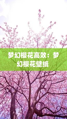 梦幻樱花高效：梦幻樱花壁纸 