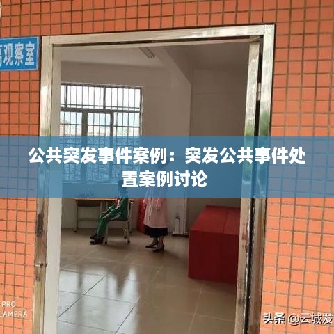公共突发事件案例：突发公共事件处置案例讨论 