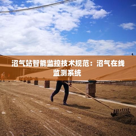 沼气站智能监控技术规范：沼气在线监测系统 