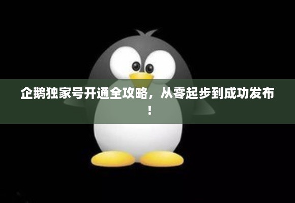 企鹅独家号开通全攻略，从零起步到成功发布！