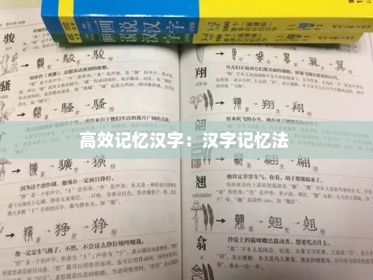 高效记忆汉字：汉字记忆法 