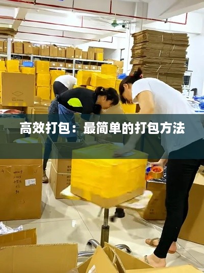伸手不见五指 第2页
