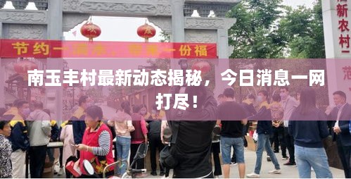 南玉丰村最新动态揭秘，今日消息一网打尽！