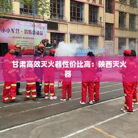 甘肃高效灭火器性价比高：陕西灭火器 