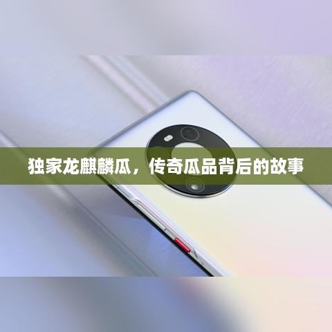 独家龙麒麟瓜，传奇瓜品背后的故事