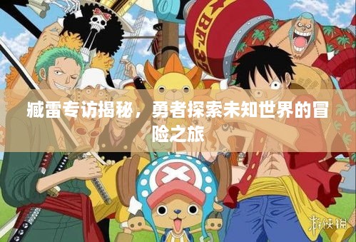 臧雷专访揭秘，勇者探索未知世界的冒险之旅