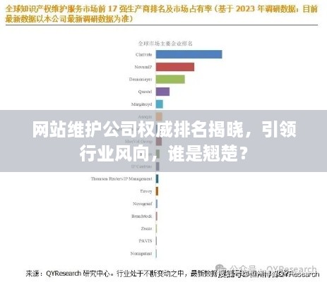 网站维护公司权威排名揭晓，引领行业风向，谁是翘楚？