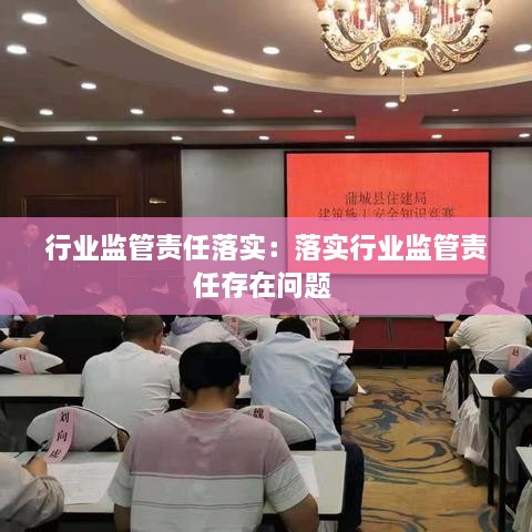 行业监管责任落实：落实行业监管责任存在问题 