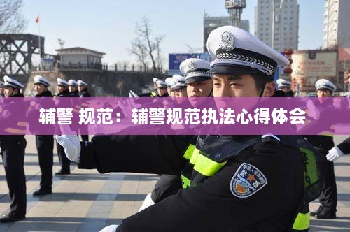 辅警 规范：辅警规范执法心得体会 