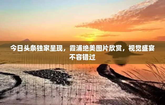 一丝不苟 第2页