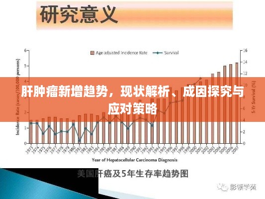 肝肿瘤新增趋势，现状解析、成因探究与应对策略