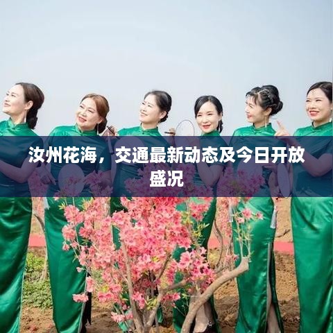 汝州花海，交通最新动态及今日开放盛况