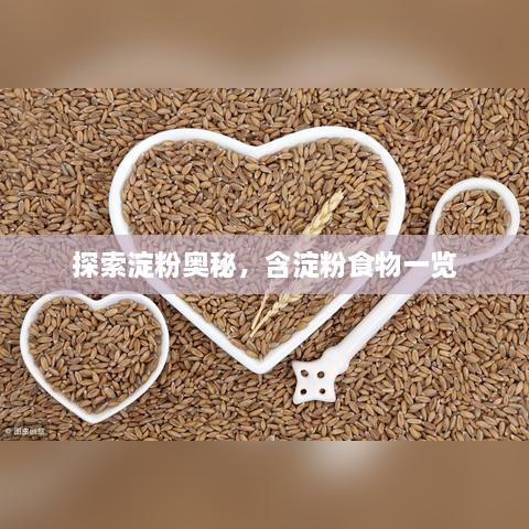 探索淀粉奥秘，含淀粉食物一览