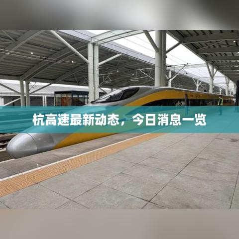 杭高速最新动态，今日消息一览