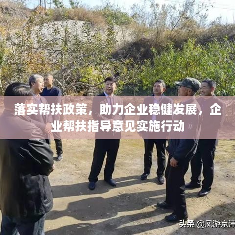 落实帮扶政策，助力企业稳健发展，企业帮扶指导意见实施行动